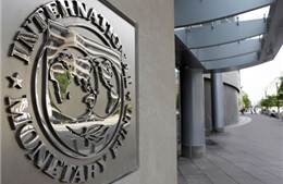 Quốc hội Mỹ cản trở kế hoạch cải tổ IMF 